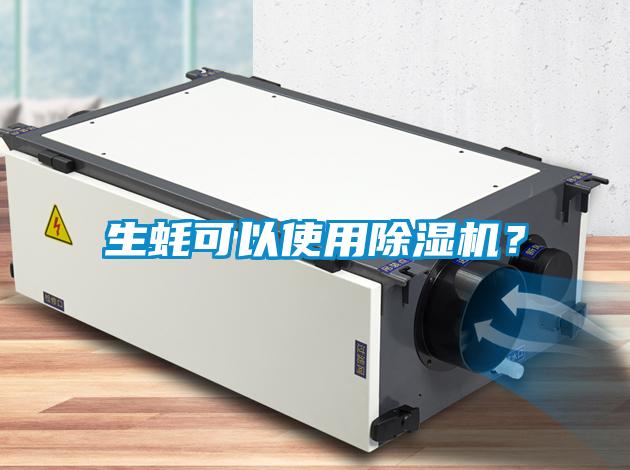 生蠔可以使用除濕機？