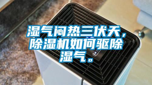 濕氣悶熱三伏天，除濕機如何驅除濕氣。