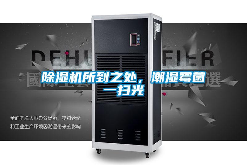 除濕機所到之處，潮濕霉菌一掃光