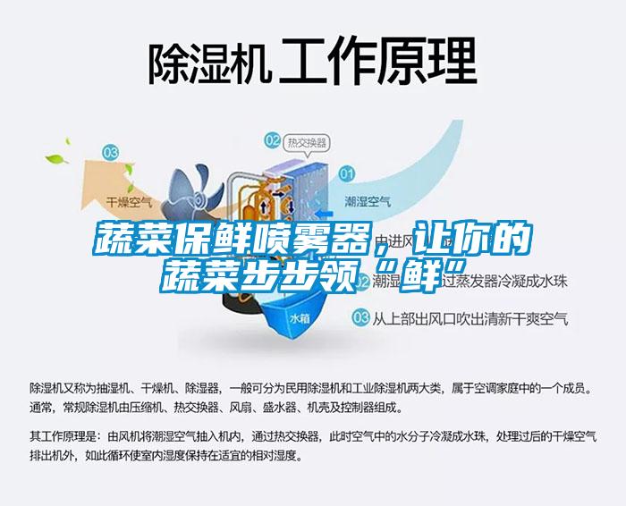 蔬菜保鮮噴霧器，讓你的蔬菜步步領“鮮”