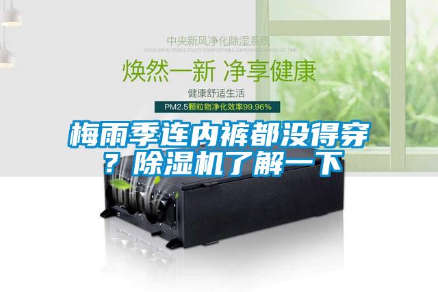 梅雨季連內(nèi)褲都沒得穿？除濕機(jī)了解一下