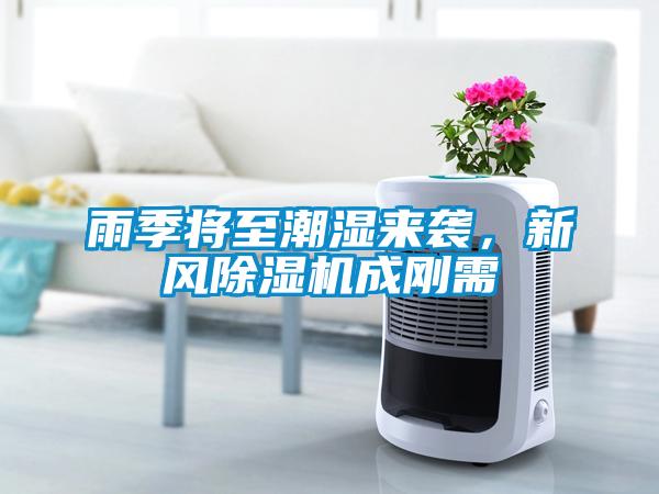 雨季將至潮濕來(lái)襲，新風(fēng)除濕機(jī)成剛需