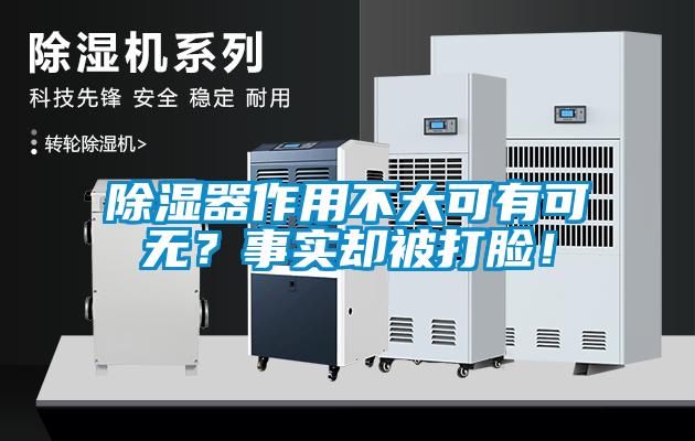 除濕器作用不大可有可無？事實卻被打臉！