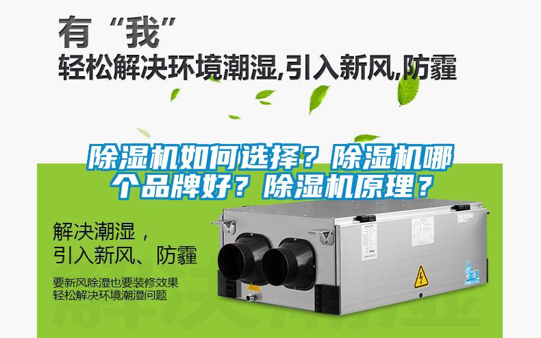 除濕機如何選擇？除濕機哪個品牌好？除濕機原理？