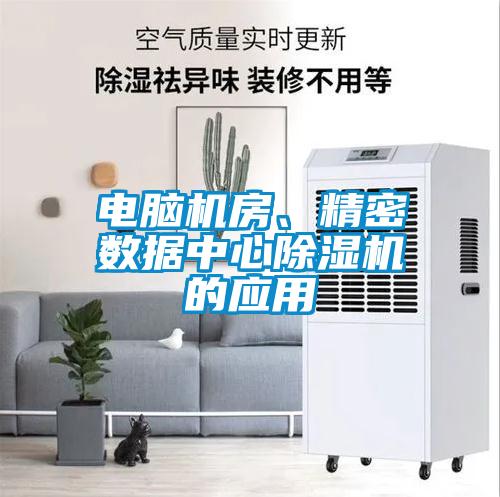 電腦機房、精密數(shù)據(jù)中心除濕機的應用