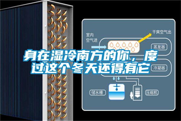 身在濕冷南方的你，度過這個冬天還得有它