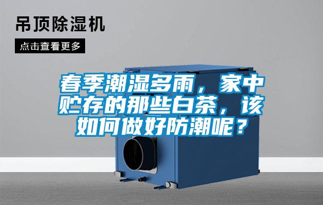 春季潮濕多雨，家中貯存的那些白茶，該如何做好防潮呢？