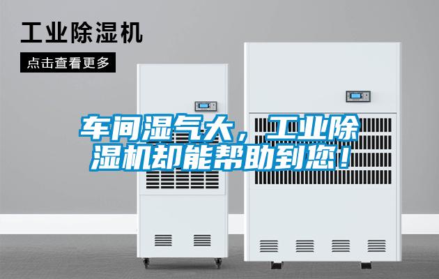 車間濕氣大，工業(yè)除濕機(jī)卻能幫助到您！