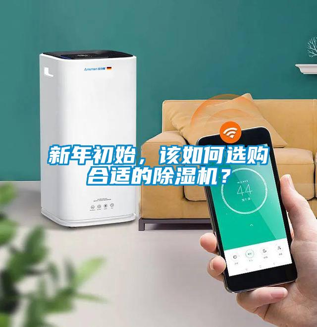 新年初始，該如何選購(gòu)合適的除濕機(jī)？