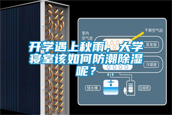 開(kāi)學(xué)遇上秋雨，大學(xué)寢室該如何防潮除濕呢？