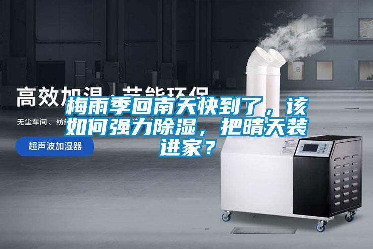 梅雨季回南天快到了，該如何強力除濕，把晴天裝進家？