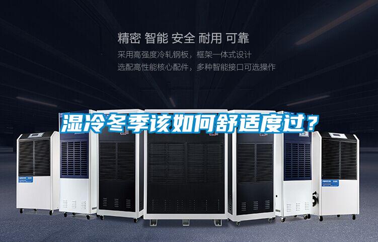 濕冷冬季該如何舒適度過？