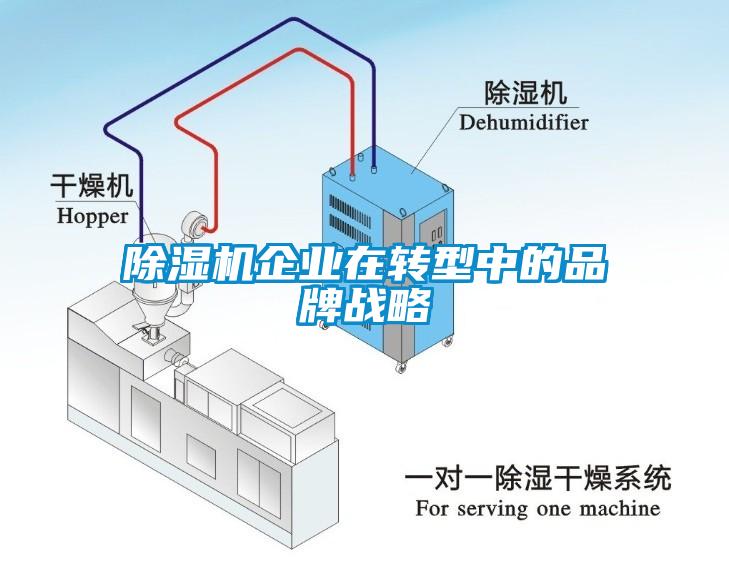 除濕機企業(yè)在轉型中的品牌戰(zhàn)略