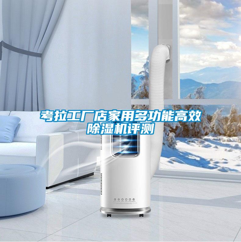 考拉工廠店家用多功能高效除濕機(jī)評(píng)測
