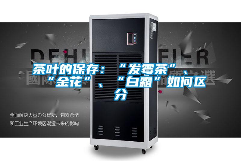 茶葉的保存：“發(fā)霉茶”、“金花”、“白霜”如何區(qū)分