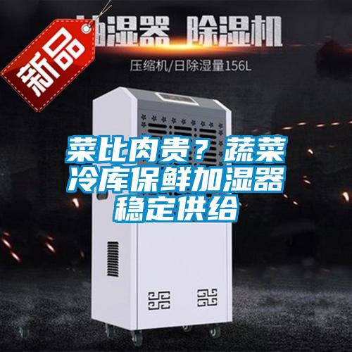 菜比肉貴？蔬菜冷庫保鮮加濕器穩(wěn)定供給