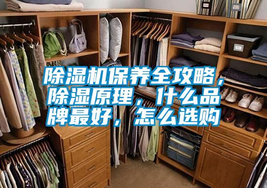 除濕機保養(yǎng)全攻略，除濕原理，什么品牌最好，怎么選購