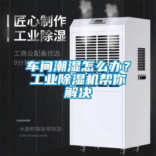 車間潮濕怎么辦？工業(yè)除濕機(jī)幫你解決