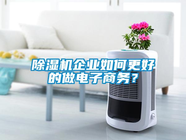 除濕機(jī)企業(yè)如何更好的做電子商務(wù)？