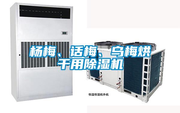 楊梅、話梅、烏梅烘干用除濕機(jī)