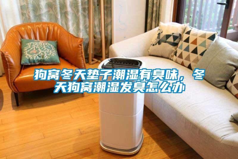 狗窩冬天墊子潮濕有臭味，冬天狗窩潮濕發(fā)臭怎么辦