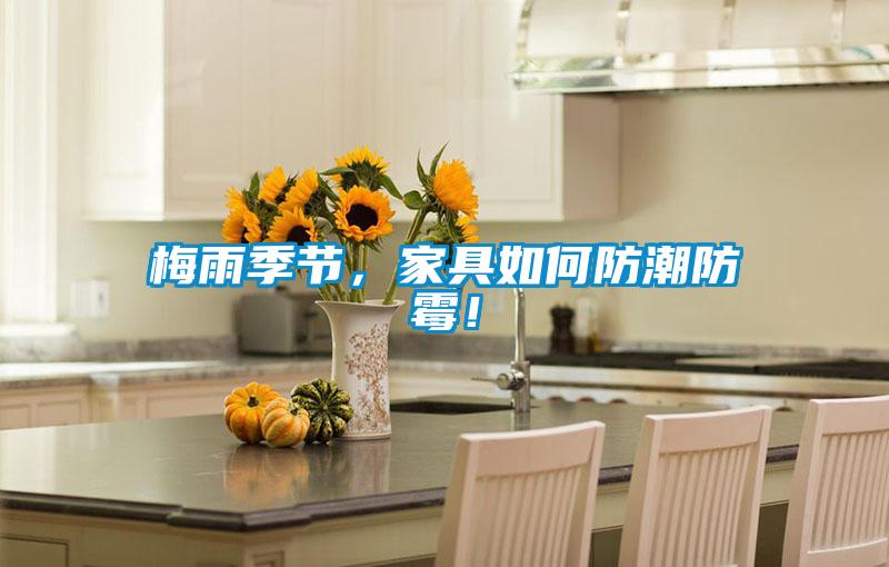 梅雨季節(jié)，家具如何防潮防霉！