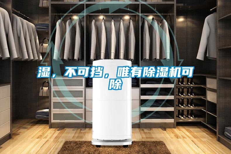 濕，不可擋，唯有除濕機可除
