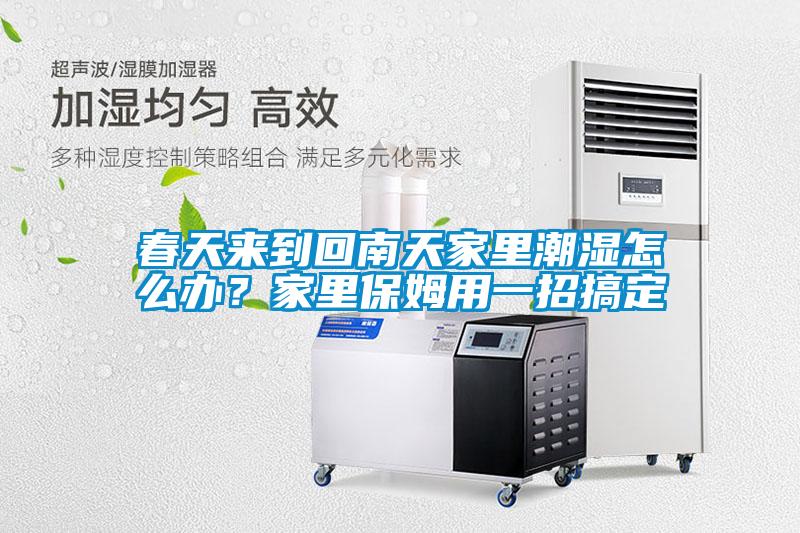 春天來到回南天家里潮濕怎么辦？家里保姆用一招搞定