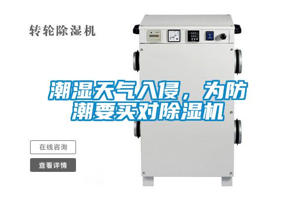 潮濕天氣入侵，為防潮要買對除濕機