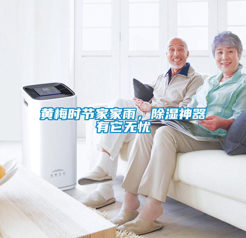 黃梅時節(jié)家家雨，除濕神器有它無憂
