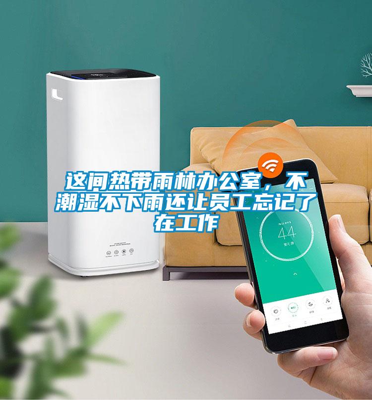 這間熱帶雨林辦公室，不潮濕不下雨還讓員工忘記了在工作