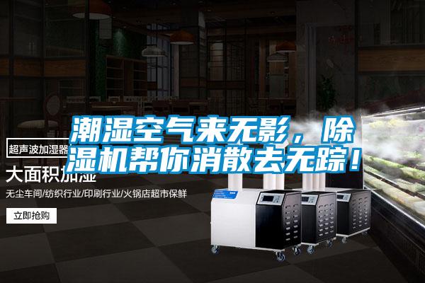 潮濕空氣來無影，除濕機(jī)幫你消散去無蹤！