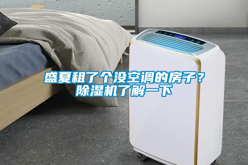 盛夏租了個(gè)沒空調(diào)的房子？除濕機(jī)了解一下
