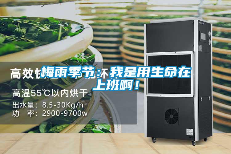 梅雨季節(jié)：我是用生命在上班啊！