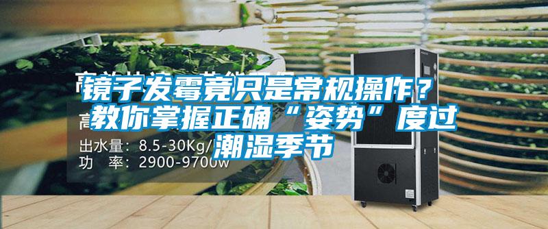 鏡子發(fā)霉竟只是常規(guī)操作？ 教你掌握正確“姿勢”度過潮濕季節(jié)