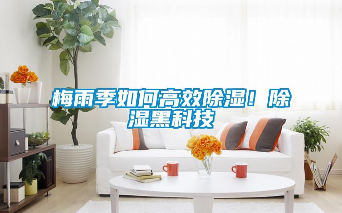 梅雨季如何高效除濕！除濕黑科技