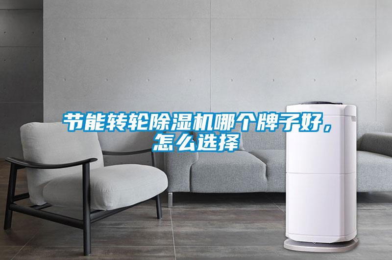 節(jié)能轉(zhuǎn)輪除濕機(jī)哪個(gè)牌子好，怎么選擇