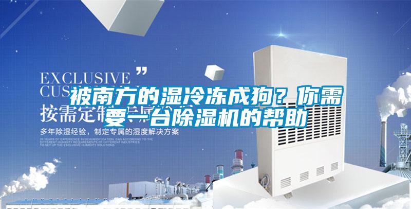 被南方的濕冷凍成狗？你需要一臺除濕機的幫助
