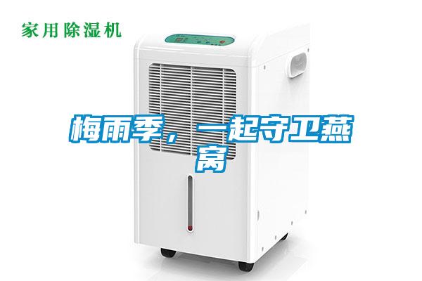 梅雨季，一起守衛(wèi)燕窩