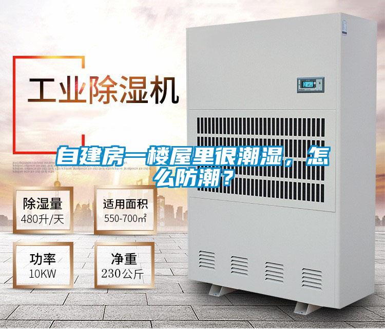 自建房一樓屋里很潮濕，怎么防潮？