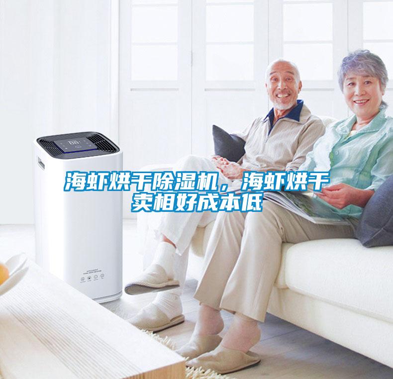 海蝦烘干除濕機，海蝦烘干賣相好成本低