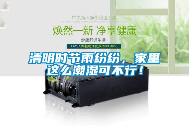 清明時(shí)節(jié)雨紛紛，家里這么潮濕可不行！