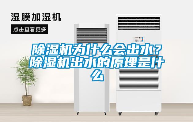 除濕機(jī)為什么會出水？除濕機(jī)出水的原理是什么
