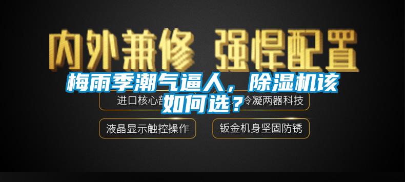 梅雨季潮氣逼人，除濕機(jī)該如何選？
