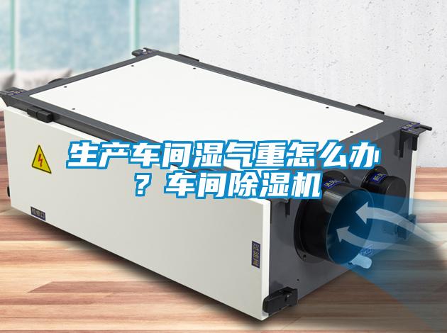 生產(chǎn)車間濕氣重怎么辦？車間除濕機(jī)