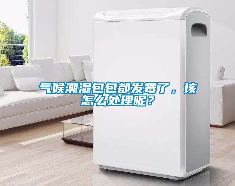 氣候潮濕包包都發(fā)霉了，該怎么處理呢？