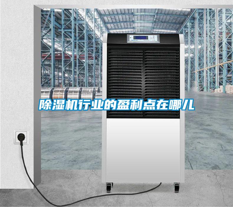 除濕機(jī)行業(yè)的盈利點(diǎn)在哪兒