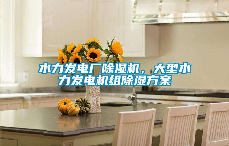 水力發(fā)電廠除濕機，大型水力發(fā)電機組除濕方案