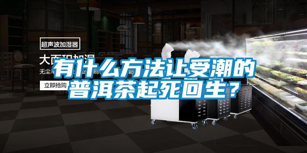 有什么方法讓受潮的普洱茶起死回生？