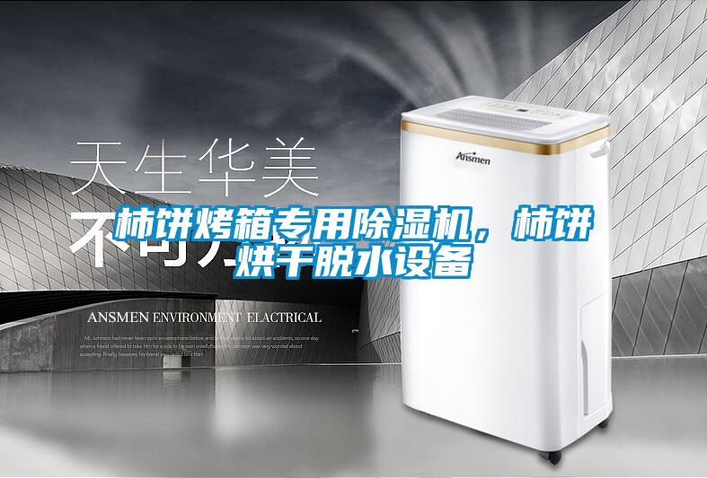 柿餅烤箱專用除濕機(jī)，柿餅烘干脫水設(shè)備